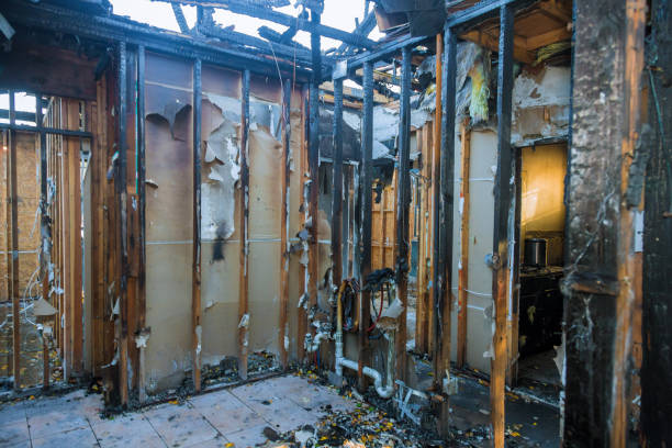 Professional Fire Damage Removal technician working in Mount Rainier, MD